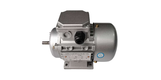 森力電機(jī)-三相異步電動(dòng)機(jī) 森力電機(jī)-三相異步電動(dòng)機(jī)