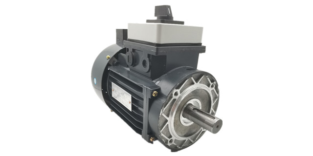 力矩電機(jī)廠家產(chǎn)品