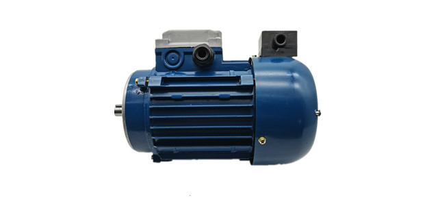 三相力矩電機(jī)廠家產(chǎn)品圖 三相力矩電機(jī)廠家產(chǎn)品圖