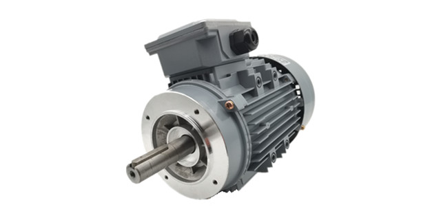 三相異步電動機廠家產(chǎn)品 三相異步電動機廠家產(chǎn)品