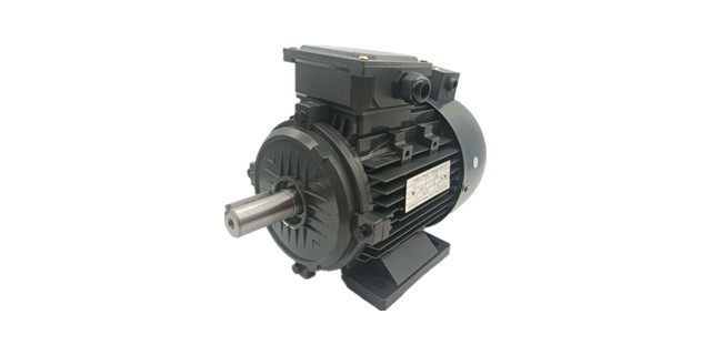 三相異步電動機廠家產(chǎn)品