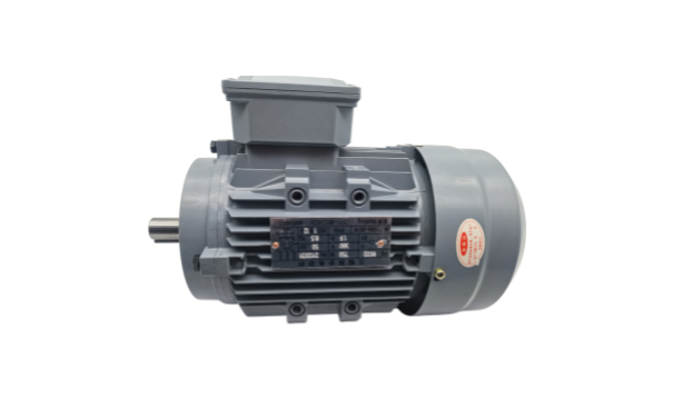 三相異步電動(dòng)機(jī)廠家產(chǎn)品 三相異步電動(dòng)機(jī)廠家產(chǎn)品