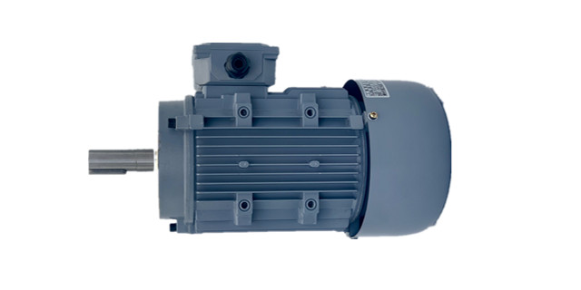 制動電機(jī)廠家產(chǎn)品 制動電機(jī)廠家產(chǎn)品