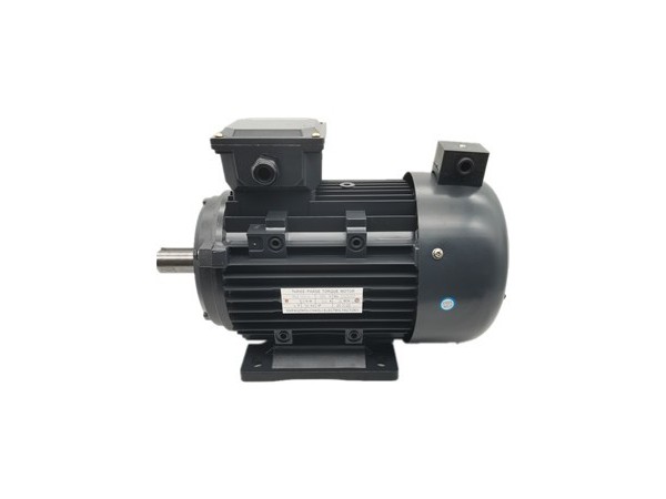 三相力矩電動機(jī)廠家產(chǎn)品圖片